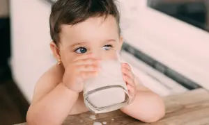 Kleines Kind trinkt aus einem Glas Milch. Die blauen Augen blicken neugierig. Baby Kuhmilch ist wichtig für das Wachstum.