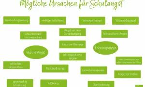 Ursachen für Schulangst: soziale Ausgrenzung, geringer Selbstwert, Versagensangst, Wissensrückstand. Therapieansätze für Schulangst umfassen die Behandlung dieser Faktoren.