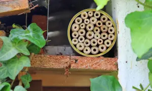 Ein selbstgemachtes Insektenhotel, ideal zum Basteln mit Kindern, bietet kleinen Krabbeltieren ein Zuhause.