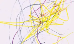 Bunte Kritzeleien in Gelb, Blau und Lila auf weißem Papier. Ein frühes Beispiel, ab wann malen Kinder ihre ersten Kunstwerke.