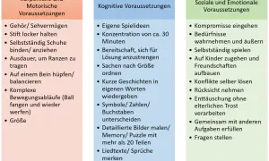 Tabelle mit Kompetenzen für Kinder: körperliche, kognitive und soziale/emotionale Voraussetzungen.