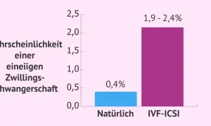 Balkendiagramm zeigt: Wahrscheinlichkeit einer eineiigen Zwillingsschwangerschaft ist natürlich 0,4%, bei IVF-ICSI 1,9-2,4%.
