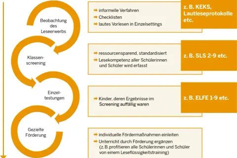 Flussdiagramm zur Leseförderung: Beobachtung, Klassen-Screening, Einzeltestungen und gezielte Förderung. Ein Dyslexie Test kann hier Teil der Einzeltestungen sein.