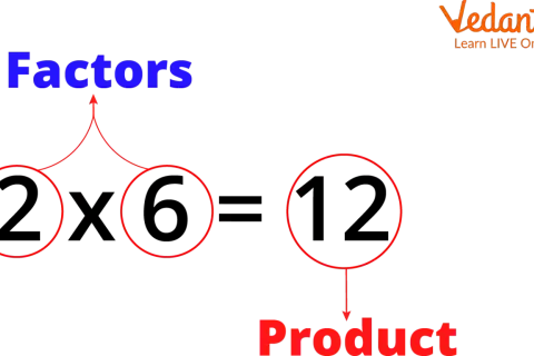 Die Faktoren 2 und 6 ergeben das Produkt 12. Dies ist ein Beispiel für den fachbegriff multiplikation.
