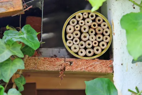 Ein selbstgemachtes Insektenhotel, ideal zum Basteln mit Kindern, bietet kleinen Krabbeltieren ein Zuhause.