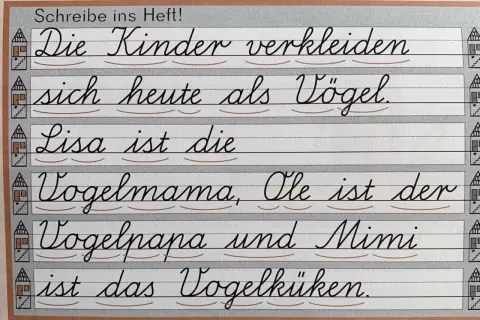 Schreibschrift Grundschule Niedersachsen: Kinder verkleiden sich als Vögel. Lisa ist Vogelmama, Ole Vogelpapa, Mimi Vogelküken.