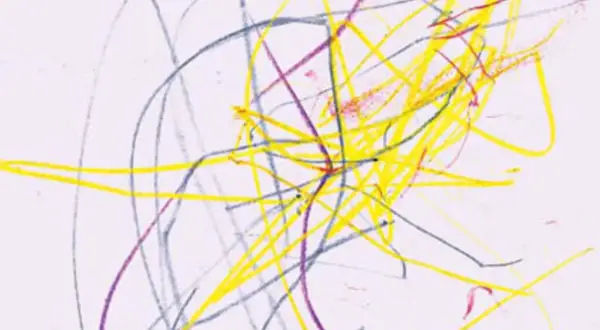 Bunte Kritzeleien in Gelb, Blau und Lila auf weißem Papier. Ein frühes Beispiel, ab wann malen Kinder ihre ersten Kunstwerke.