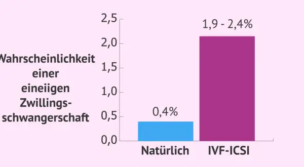 Balkendiagramm zeigt: Wahrscheinlichkeit einer eineiigen Zwillingsschwangerschaft ist natürlich 0,4%, bei IVF-ICSI 1,9-2,4%.