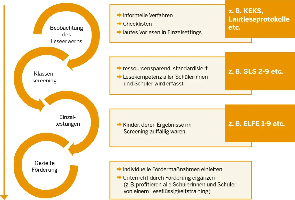 Flussdiagramm zur Leseförderung: Beobachtung, Klassen-Screening, Einzeltestungen und gezielte Förderung. Ein Dyslexie Test kann hier Teil der Einzeltestungen sein.
