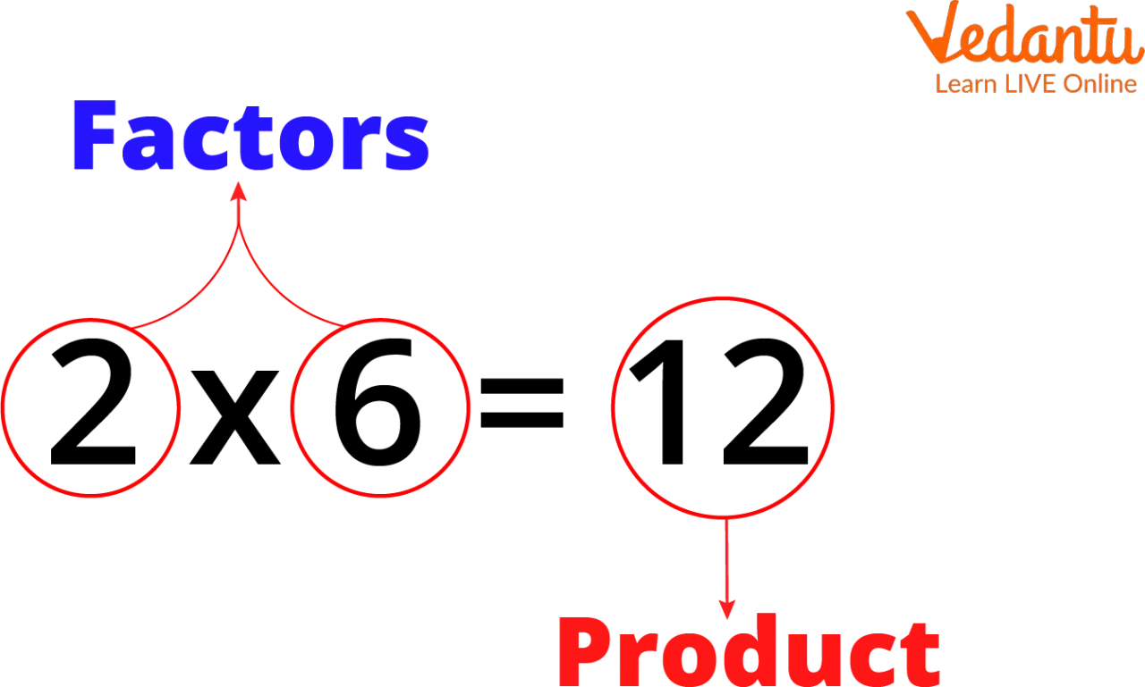 Die Faktoren 2 und 6 ergeben das Produkt 12. Dies ist ein Beispiel für den fachbegriff multiplikation.