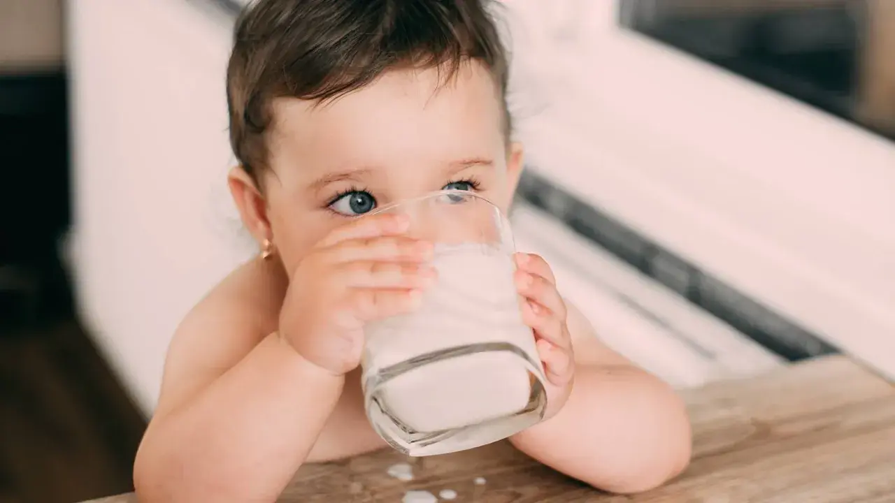 Kleines Kind trinkt aus einem Glas Milch. Die blauen Augen blicken neugierig. Baby Kuhmilch ist wichtig für das Wachstum.