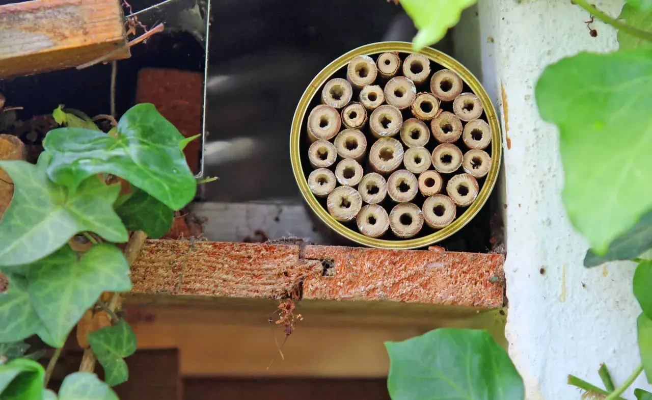 Ein selbstgemachtes Insektenhotel, ideal zum Basteln mit Kindern, bietet kleinen Krabbeltieren ein Zuhause.