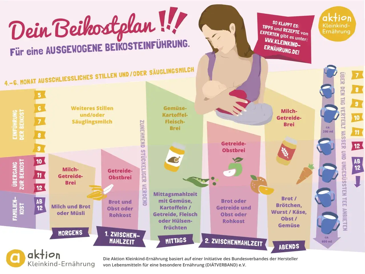 Ein Beikostplan f&uuml;r ein Baby ab 6 Monate. Zeigt verschiedene Mahlzeiten wie Brei, Obst und Gem&uuml;se.