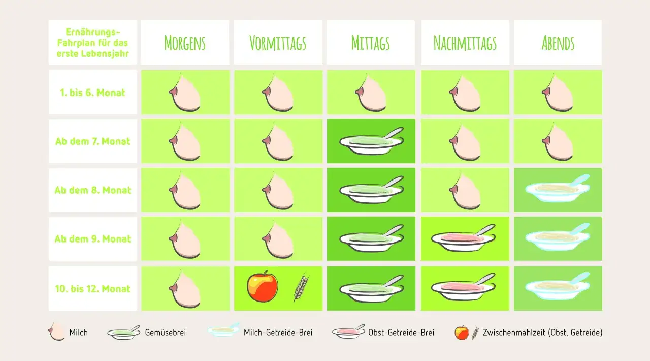 Ernährungsplan für ein Baby 1 Jahr: Milch, Gemüsebrei, Obst-Getreide-Brei und Zwischenmahlzeiten im Tagesverlauf.