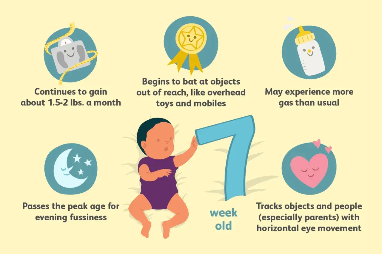 Ein baby 7 wochen alt entwickelt sich: Es nimmt zu, schlägt nach Objekten, hat weniger Bauchweh, folgt Blicken und ist weniger quengelig.