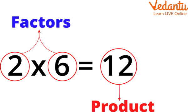 Die Faktoren 2 und 6 ergeben das Produkt 12. Dies ist ein Beispiel für den fachbegriff multiplikation.