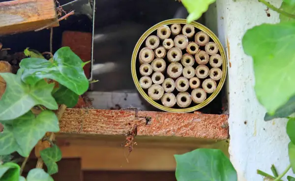 Ein selbstgemachtes Insektenhotel, ideal zum Basteln mit Kindern, bietet kleinen Krabbeltieren ein Zuhause.